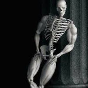 Meet your Posher, Mau